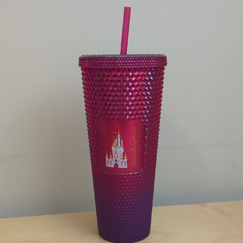 Disney World Starbucks Cinderella Castle Tumbler And Straw Brand New